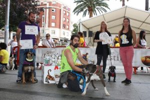 2018 CONCURSO DE PERROS SIN RAZA