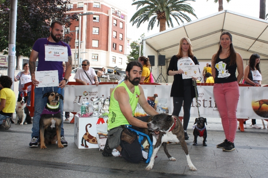 2018 CONCURSO DE PERROS SIN RAZA