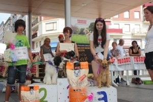 2013 CONCURSO DE PERROS Y GATOS