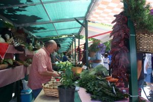 2016 FERIA AGRICOLA