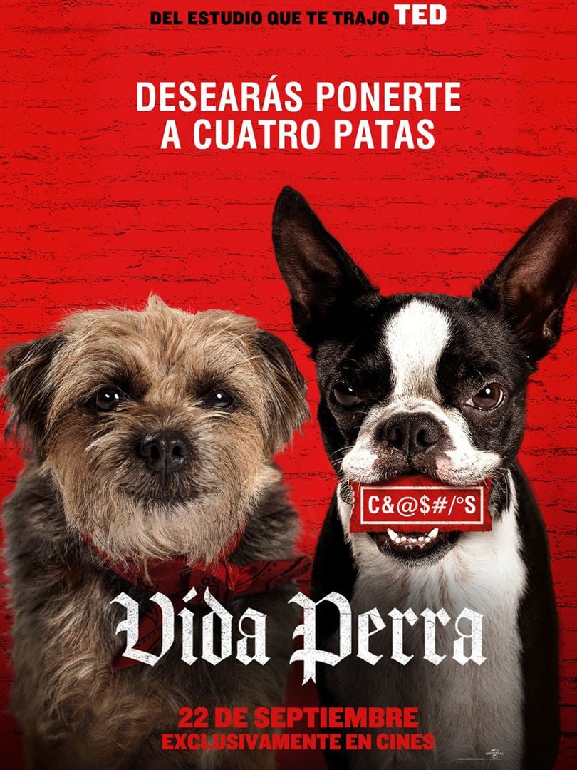 VIDA PERRA